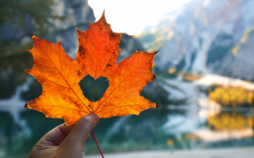 Herbstblatt mit Herz-Ausschnitt vor Bergsee und buntem Herbstwald