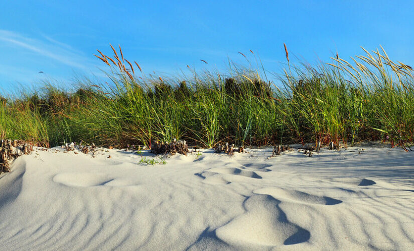 Idyllische Sanddünen mit Strandhafer an der Ostsee – Natur pur und maritimes Urlaubsgefühl am Meer