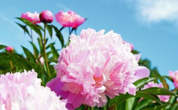 Himmelfahrt/ Pfingsten