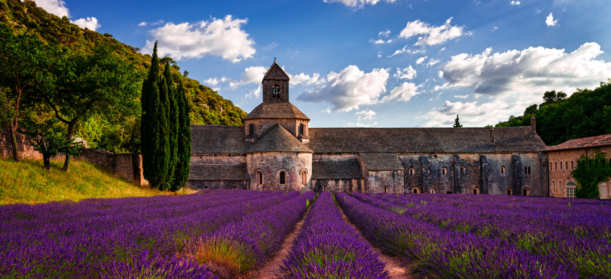Blühende Lavendelfelder vor der Abtei von Sénanque - farbenprächtiges Ziel jeder Busreise in die Provence