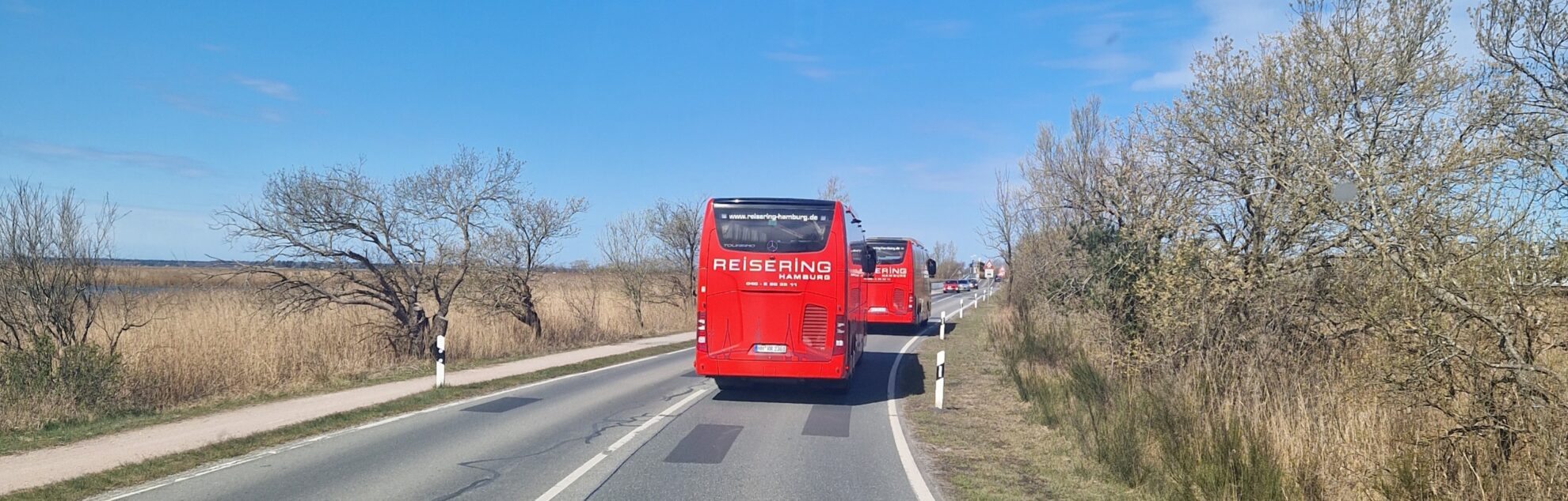 Mehrere Reisebusse des Reisering Hamburg unterwegs auf Landstraße – gemeinsame Busreisen ab Hamburg mit Komfort, Gemeinschaft und schönen Ausblicken durch Norddeutschland.