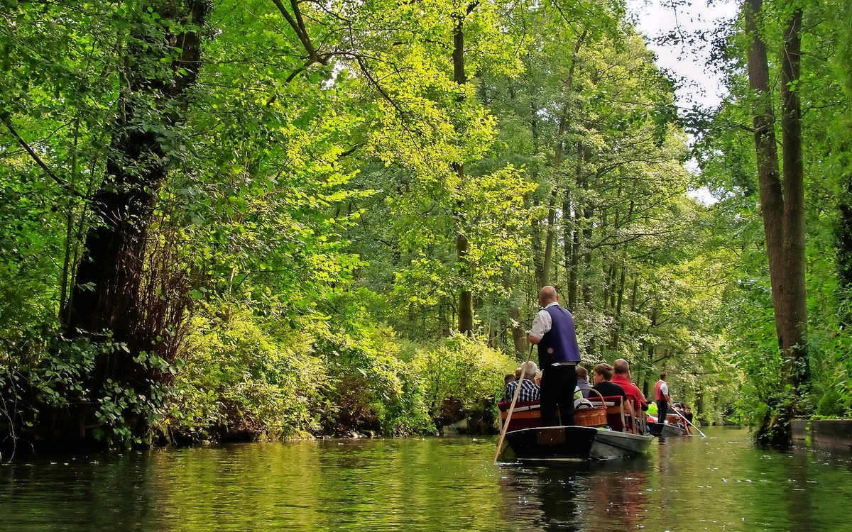 Menschen fahren in einem Boot auf einem ruhigen Fluss, umgeben von üppigem, grünem Wald.