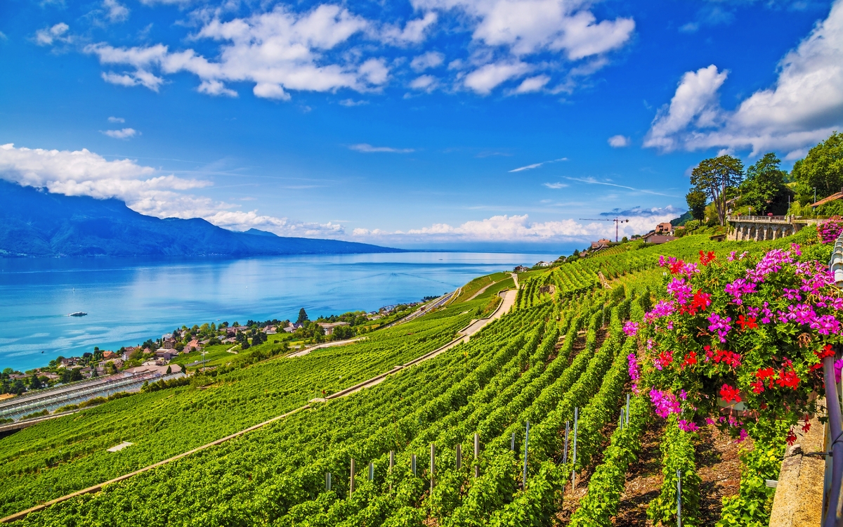 Lavaux, Genfer See