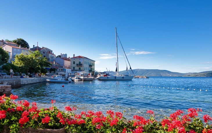 Segelboot im Hafen vor bunter Küstenstadt und Blumenbeet im Vordergrund.