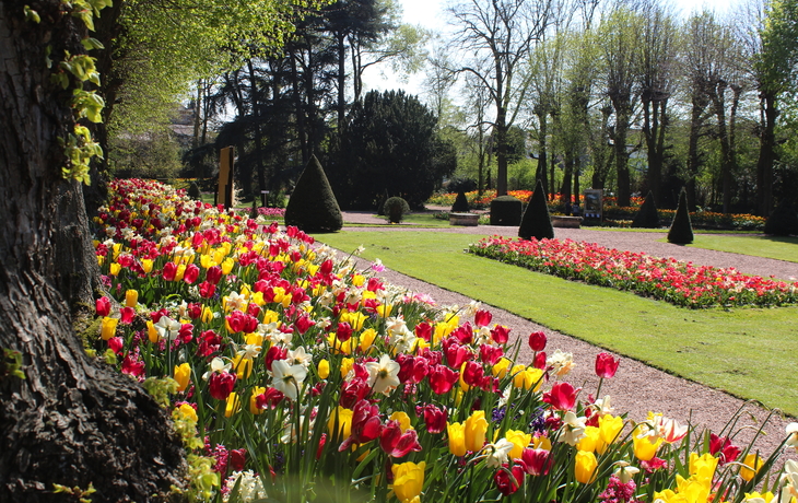 Schloss Groot-Bijgaarden