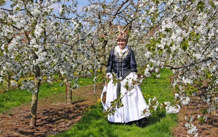 Panoramablick auf Florenz mit der Kathedrale Santa Maria del Fiore.