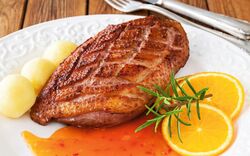 <p><span>Spiegel-Karpfen oder Entenbrust?</span></p>