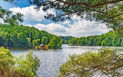 <p><span>Harz</span></p>