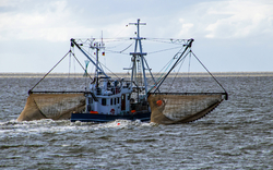 <p><span>Husumer Krabbentage</span></p>