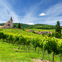 Weinberge, Elsass