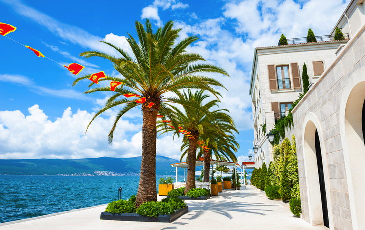 Strandpromenade in Tivat an der Bucht von Kotor in Montenegro mit Palmen und Blick auf die Adria.
