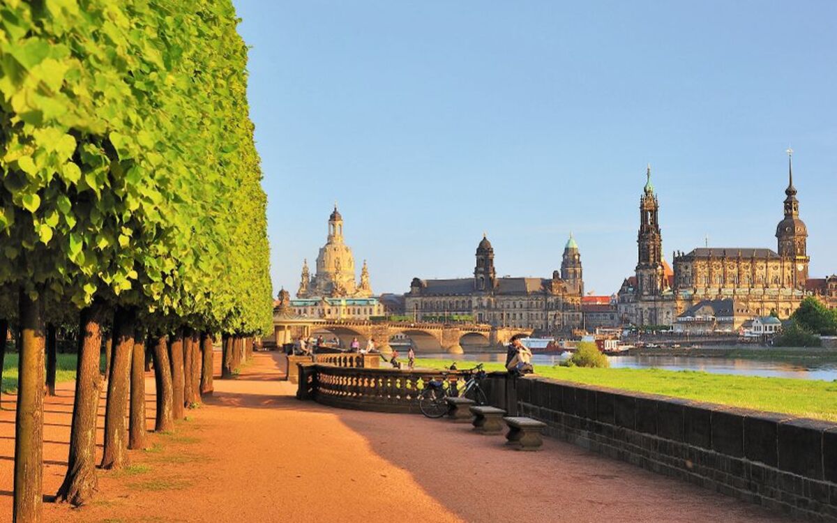 Baumallee am Ufer der Elbe, Hintergrund: Dresden mit markanten Gebäuden bei Sonnenschein.