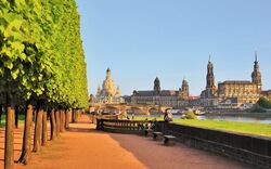 Baumallee am Ufer der Elbe, Hintergrund: Dresden mit markanten Gebäuden bei Sonnenschein.