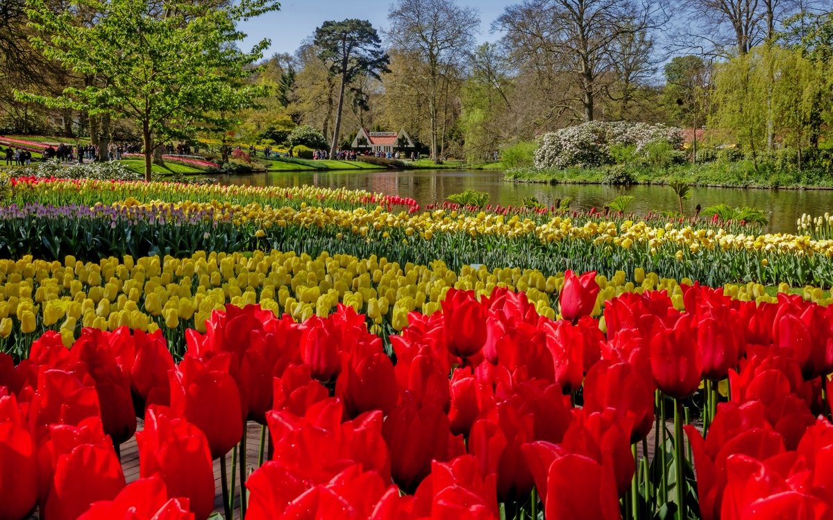 Keukenhof
