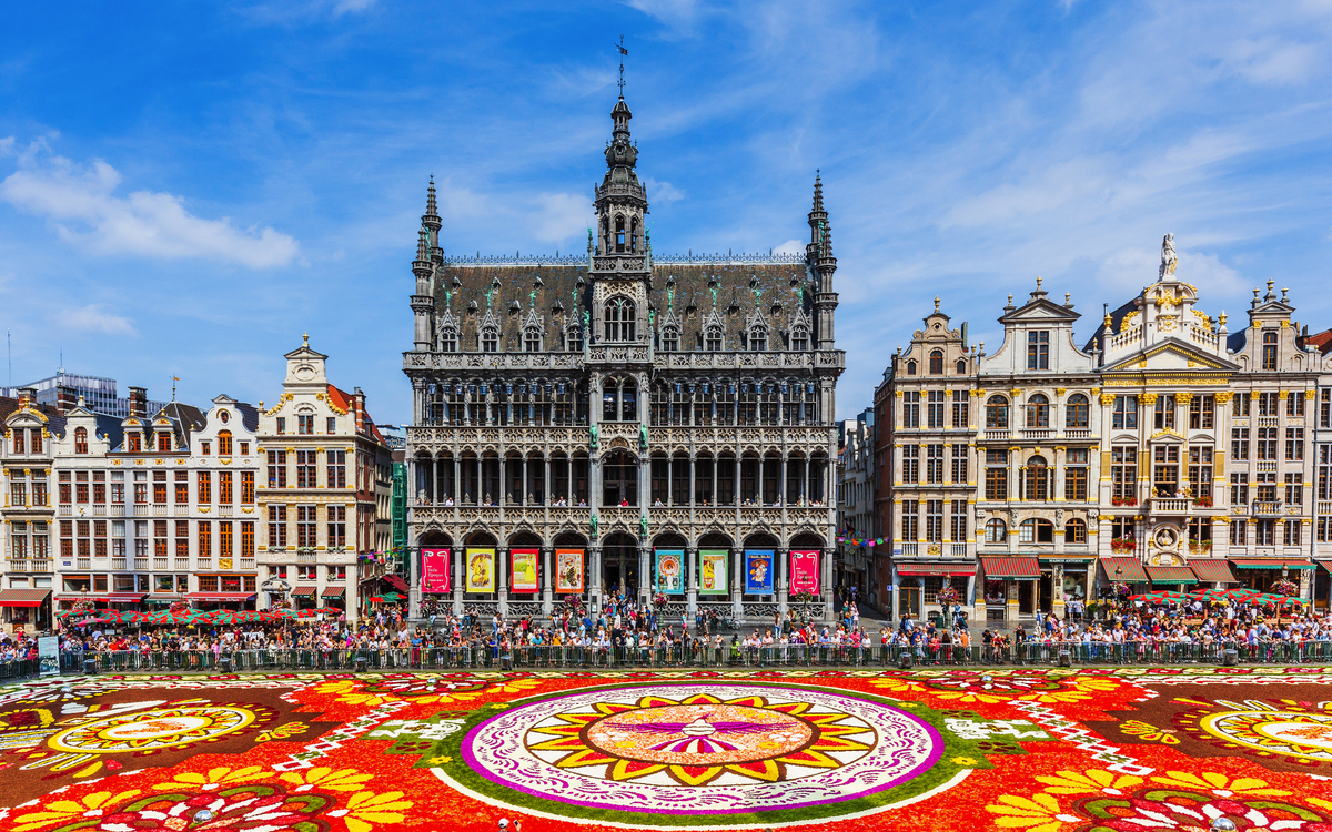 Blumenteppich auf dem Grote Markt in Brüssel mit historischen Gebäuden im Hintergrund.