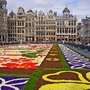 Blumenteppich auf dem Grand Place in Brüssel, umgeben von historischen Gebäuden.