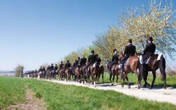 <p><span>Görlitz</span></p>