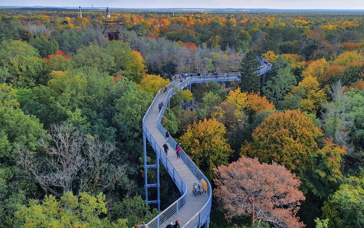 Baumkronenpfad in Beelitz-Heilstätten