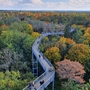 Baumkronenpfad in Beelitz-Heilstätten
