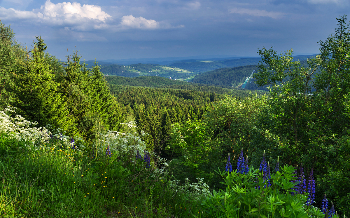 Blick auf die Skisprungschanze Vogtland Arena in Klingenthal