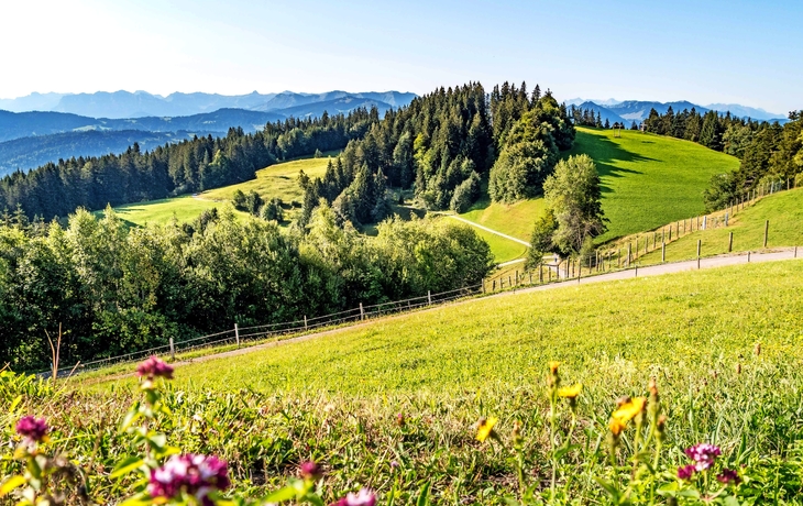 Pfänder - Hausberg Bregenz Österreich