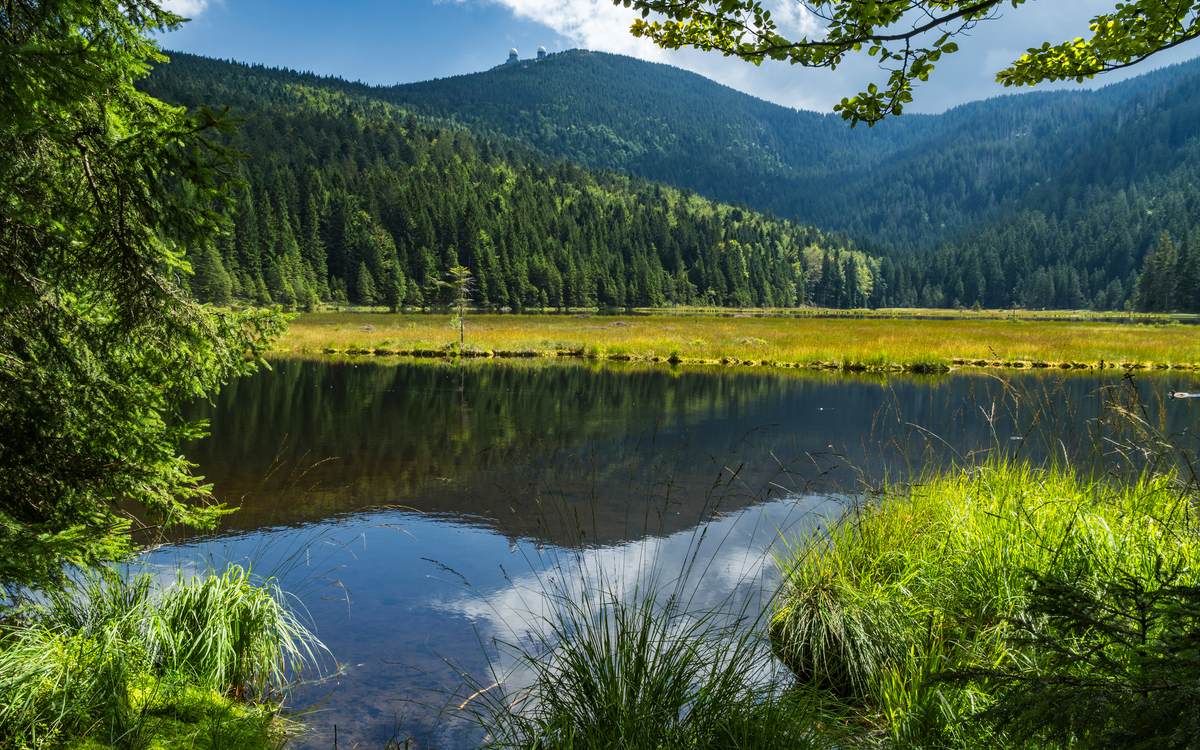 Bergsee mit Wiesen und Wald im Hintergrund bei klarem Himmel.