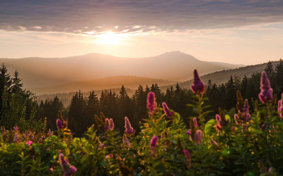Großer Arber im Bayerischen Wald bei Sonnenuntergang