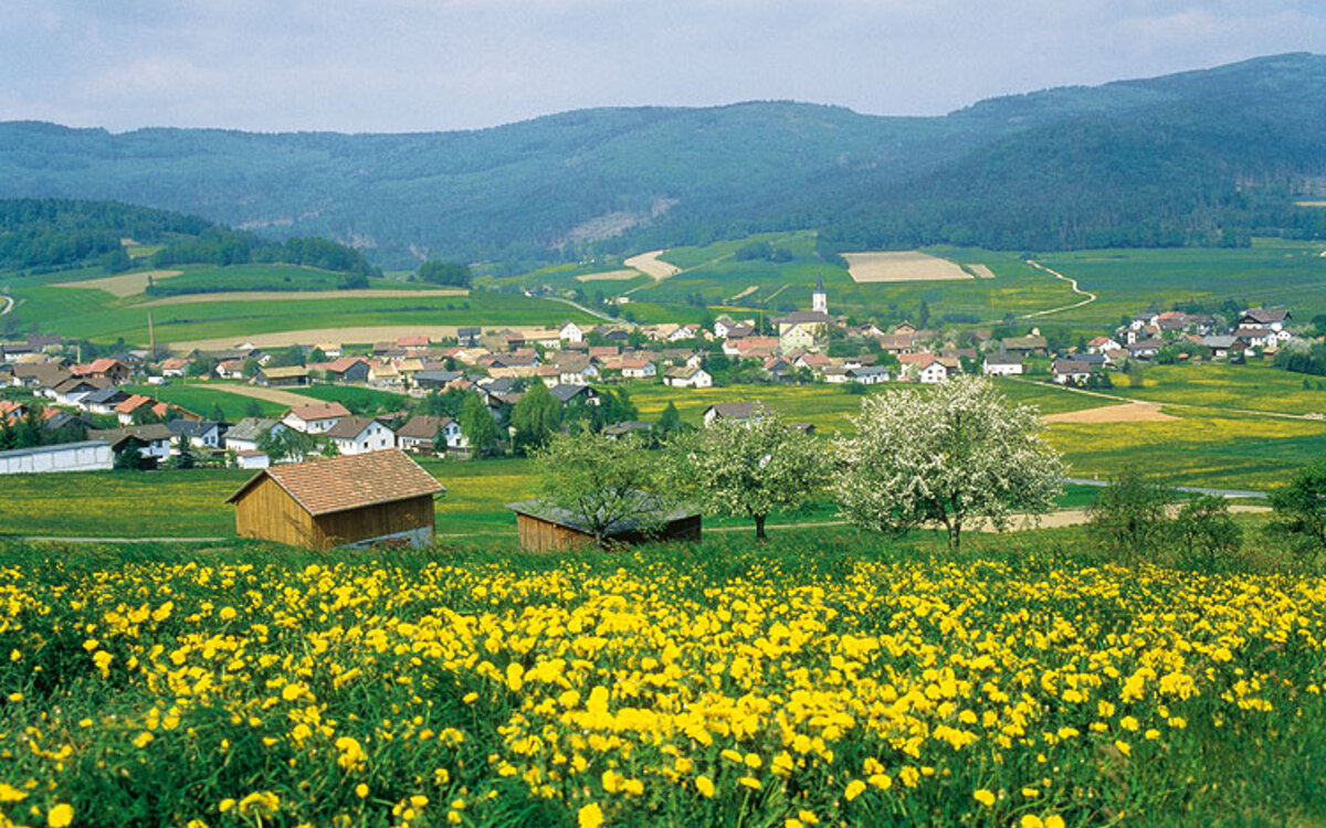 Lam im Bayerischen Wald