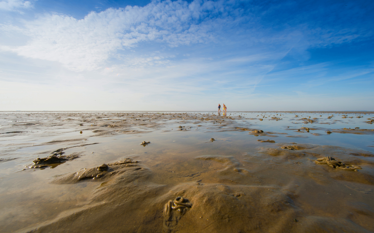 Weite Wattlandschaft auf Föhr mit blauem Himmel.