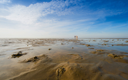 Weite Wattlandschaft auf Föhr mit blauem Himmel.