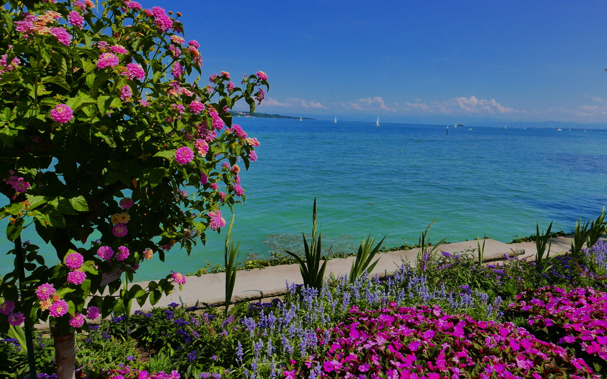Blumeninsel Mainau am Bodensee
