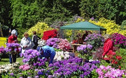 <p><span>Rhododendronfest in Graal-Müritz</span></p>