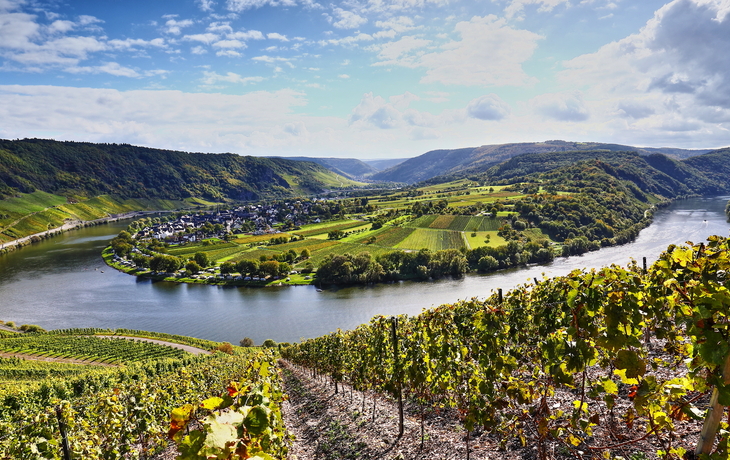 Moselschleife und Weinberge in Rheinland-Pfalz