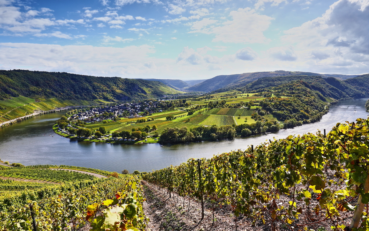 Moselschleife und Weinberge in Rheinland-Pfalz