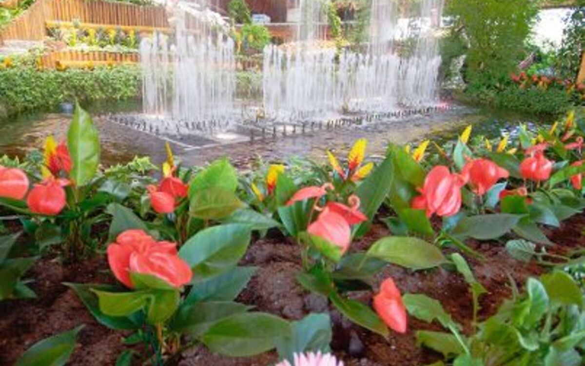 Innenansicht der Blumenhalle Wiesmoor 