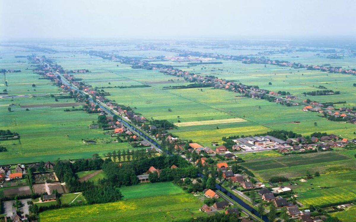 Weitläufige grüne Fehnlandschaft 
