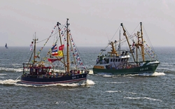 <p><span>Kutterregatta-Begleitfahrt </span></p>