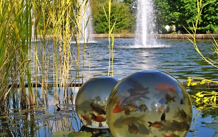 Forum Romanum in Rom bei Sonnenuntergang mit antiken Ruinen und einer Kuppelkirche im Hintergrund.