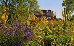 <p><span>Husum und Nolde Museum Seebüll</span></p>