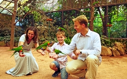 <p><span>Weltvogelpark in Walsrode</span></p>