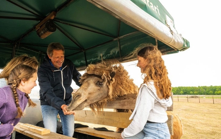 Bühnenbild der ABBA Voyage Show mit Projektionen, Publikum im Vordergrund