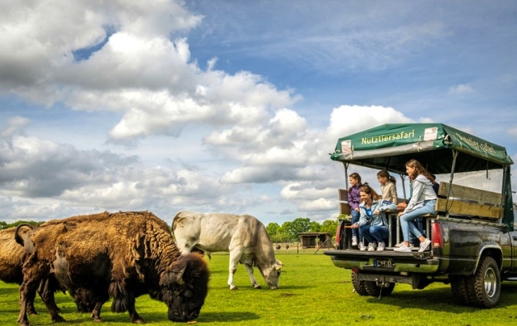 Buckingham Palace mit Garten und Denkmal bei Sonnenschein.