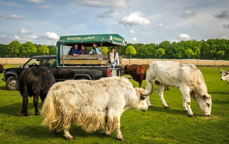 Rote Telefonzelle und Big Ben in London bei blauem Himmel.