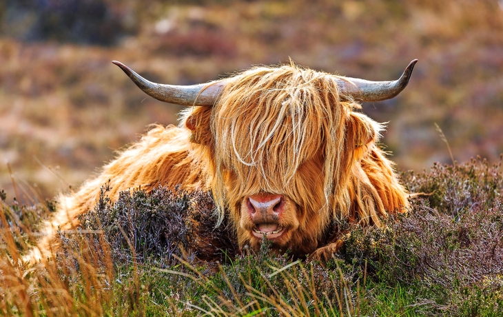 Schloss mit Gärten und gepflegtem Rasen im Vordergrund.
