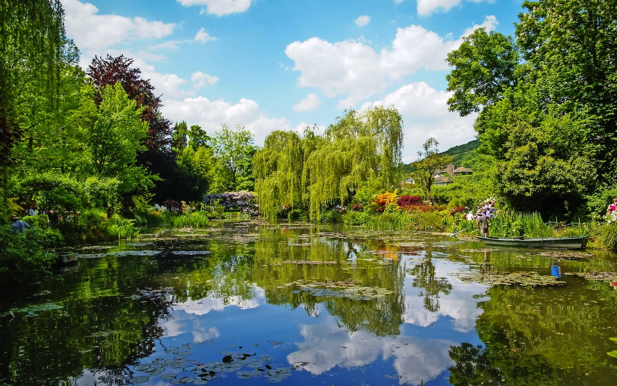 Teich mit Seerosen und üppiger Vegetation unter blauem Himmel