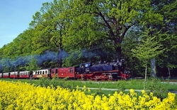 <p><span>Bad Doberan & Dampfzugnostalgie</span></p>