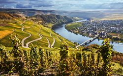 <p>Rhein und Mosel </p>