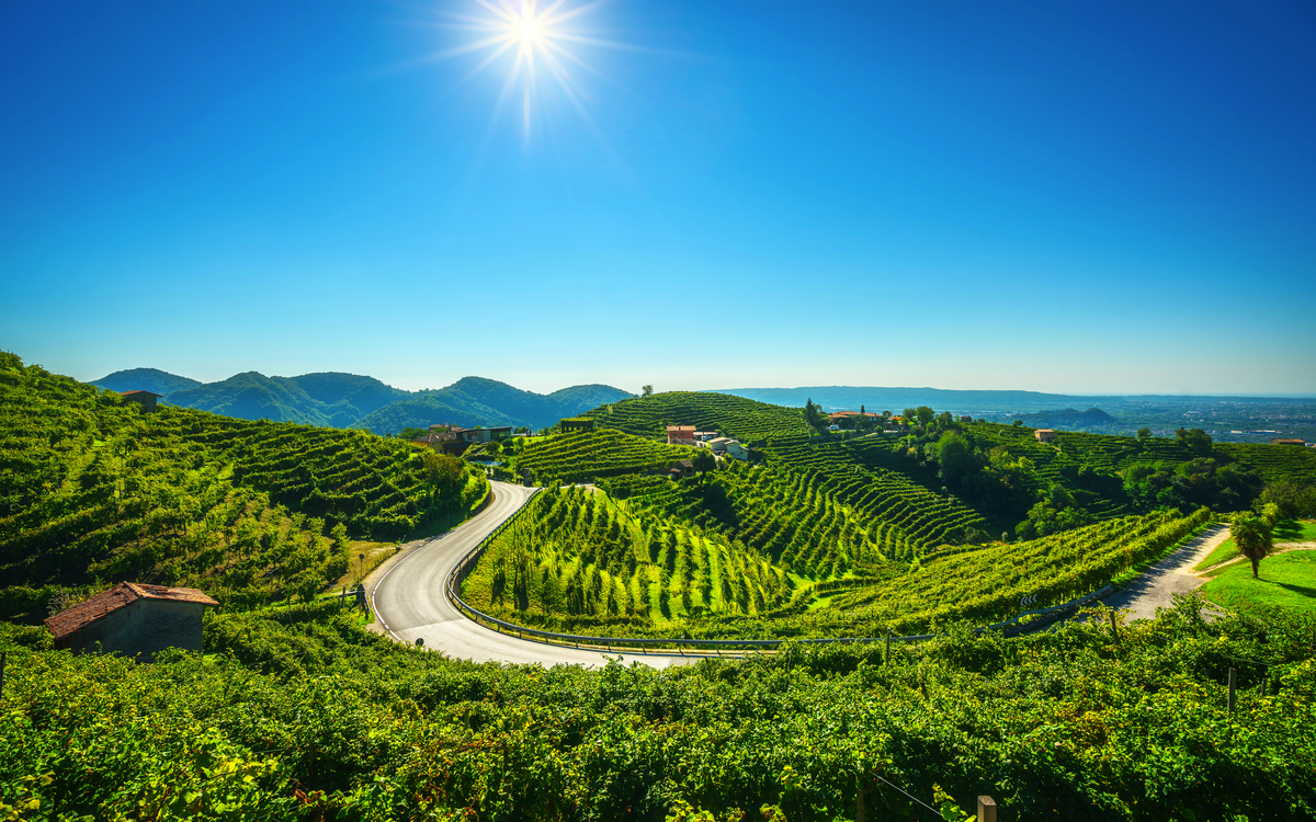 Prosecco Hills nahe Valdobbiadene in Venetien, Italien