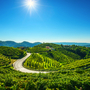 Prosecco Hills nahe Valdobbiadene in Venetien, Italien