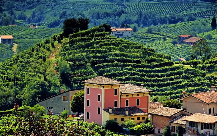 Prosecco Hills nahe Valdobbiadene in Venetien, Italien